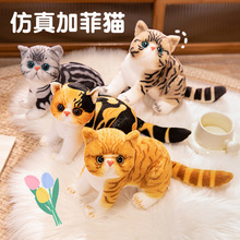 可爱小猫玩偶跨境加菲猫毛绒玩具宠物猫咪公仔女生儿童小花猫橘猫