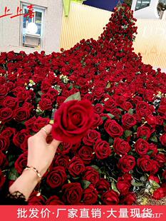 õ�廨����õ�岼���b�������õ������b�̈���������ٲ�õ��