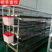 定制立式育雏笼三层四层养鸡育雏鸡笼 加粗加密蛋鸡笼立式蛋鸡笼