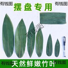 С���~�[�P���~���b���֧�~�Pβ���˾��ʽ�����������r��Ͳ�̲�