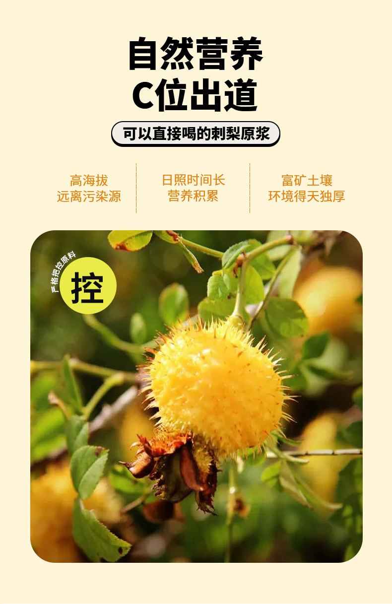 源头工厂刺梨原浆新鲜刺梨果鲜榨刺梨原汁饮品贵州特产植物饮品-阿里巴巴