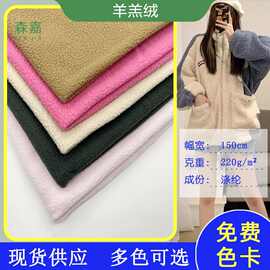 现货羊羔绒面料小颗粒羊羔绒加厚服装外套包包布料 羊羔绒面料