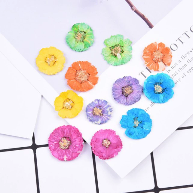Цвет ромашки цветок гибискуса маленький Хризантема капля клей сушеный цветок оболочка мобильного телефона DIY тисненые цветочные аксессуары озадаченный цветок