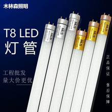 ľ��ɭT8����LED�չ����֧��1.2��16W30Wt8�L�l����120cm0.6��8W