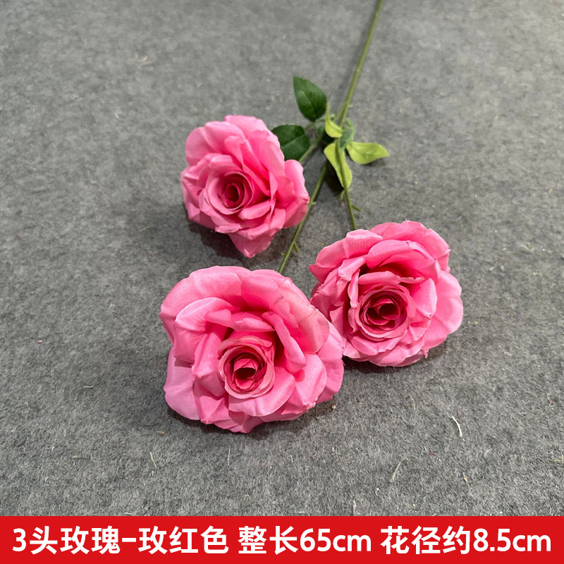 3 머리 다이아몬드 장미