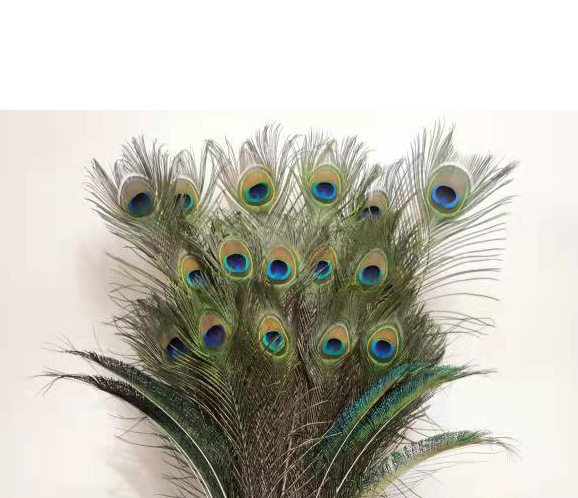 Spot al por mayor lana natural 25-30CM decoración de joyas adornos de plumas de bricolaje tocado de plumas de pavo real terciopelo