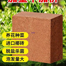 ��KҬ�u�I�B���N��Ҭ����9��Ó�}��Ҭ��Ҭ�����l�B��ͨ����