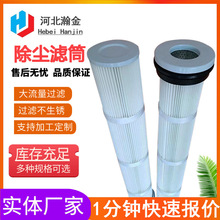 除尘滤筒LS-160-1000聚酯纤维粉尘滤芯工业六耳除尘滤芯加工定 制