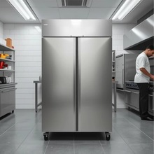 跨境外貿出口雙門冷藏高身櫃商用冷凍櫃風冷無霜酒店廚房專用冰櫃