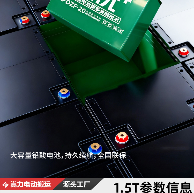 双起升堆高车 (23).jpg