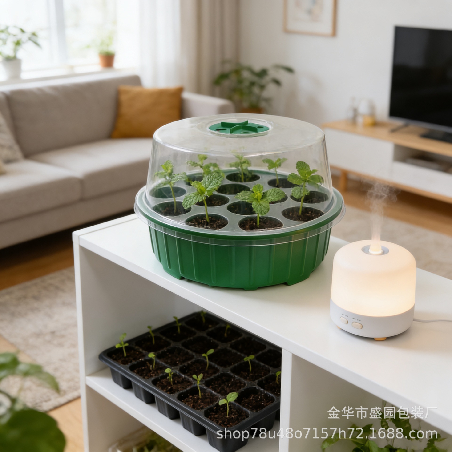 13-Hole Round Seedling Box for Home Garden Planting, Bean Sprouts, Flower Seedlings, Vegetable Planting, Cross-Border Gardening Cultivation 2