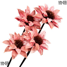 ѩɏ���ɻ�С�����ֹ�ˇ�g�廨���滨�ҾӔ[���b����յ���ֱ�N