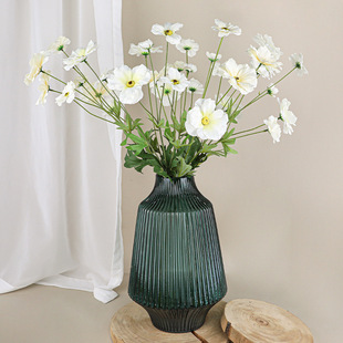 ���滨7�^����ĵ�����Wins�L��ˇ�쾰��Y�b����g��ꐔzӰ����