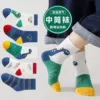 Dinosaur Baby 【Skin -friendly fabric】