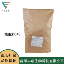 食品级 C40植脂末25KG 袋装奶茶店咖啡伴侣固体饮料烘焙配料