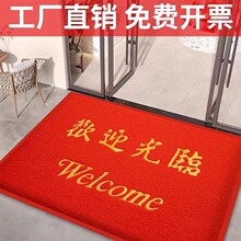 pvc丝圈地垫进门入户门垫方形防滑垫门口汽车塑料脚垫地毯