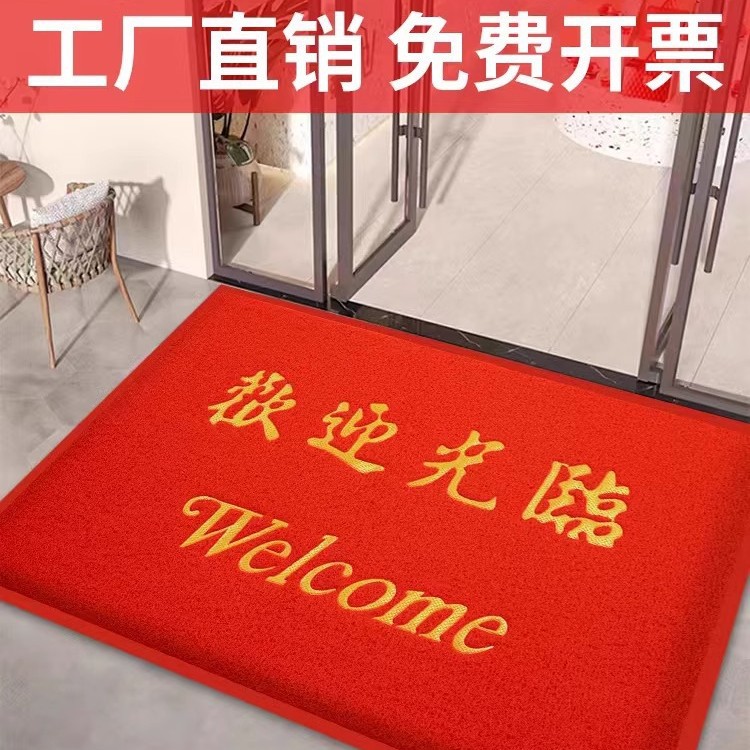 pvc丝圈地垫进门入户门垫方形防滑垫门口汽车塑料脚垫地毯