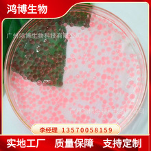 �S������/���l��ɫ����  ˮ�����԰����͵�����  ��СҎ���Rȫ