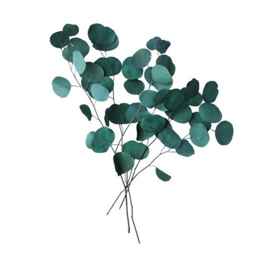 불멸의 사과잎 다발 - 드라이플라워백