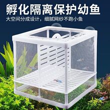 隔离网水族箱隔离器隔离盒网孵化器繁殖箱孵鱼槽孵化鱼网可孵化