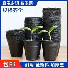 营养杯育苗杯一次性黑色营养袋育苗袋大号播种植塑料育苗盆营养钵