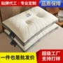 睡眠宿舍定制单人枕芯