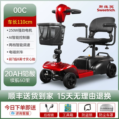 Qatlanan elektrik velosipedlər – Foldable Electric Wholesale - 05-classic-00c-20ah-lead-acid-can-run-about-60-miles-250w-motor-24v