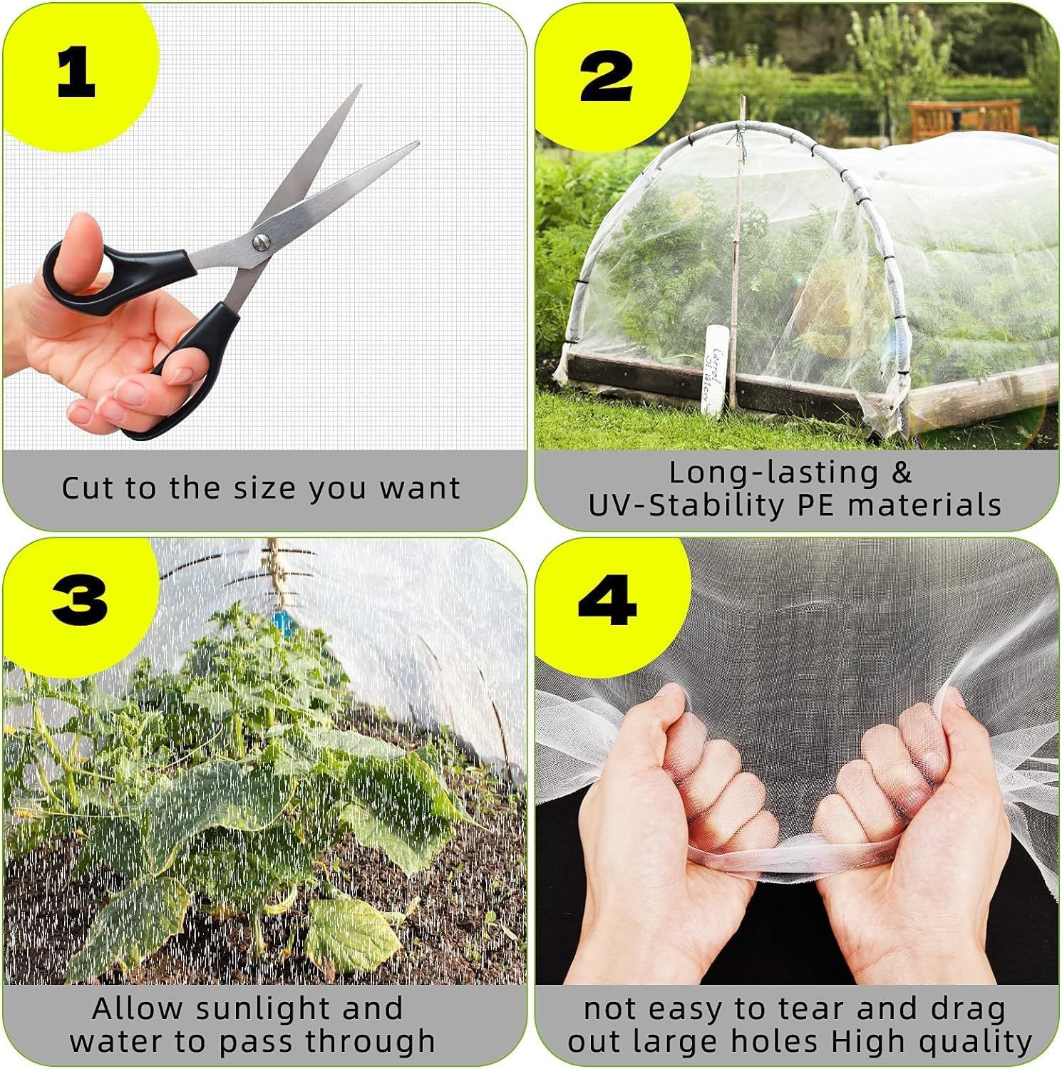 DM_20240617165707_004