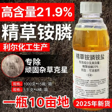 20%�����@���@�}�ߝ����Ʒ���l���݄����ݰ�좰��}���ݠ�����