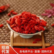 宁夏红枸杞批发250g 头茬枸杞子泡水煮粥煲汤大颗粒红枸杞