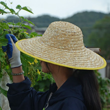 大草帽农民沙滩户外遮阳夏工地女大檐大沿男草帽子太阳农用帽