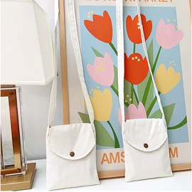 女士手提包;女士单肩包;帆布袋