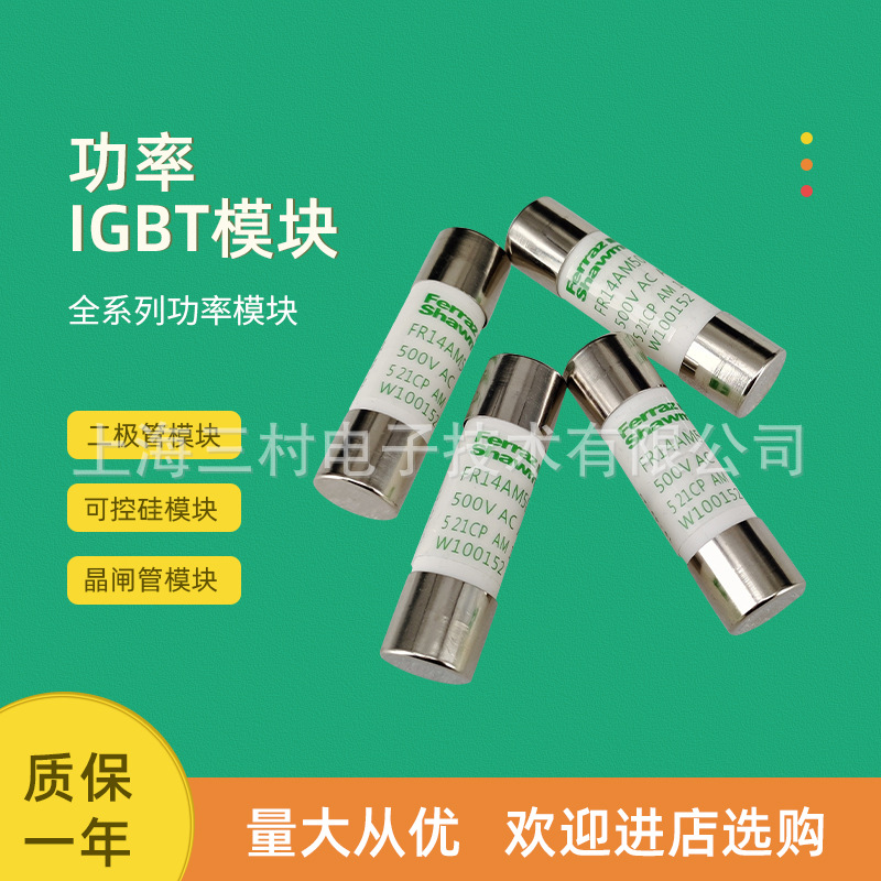 全新熔断器保险丝FR14GR69V25T/M1017186 FR14GR69V32T/Q1017189