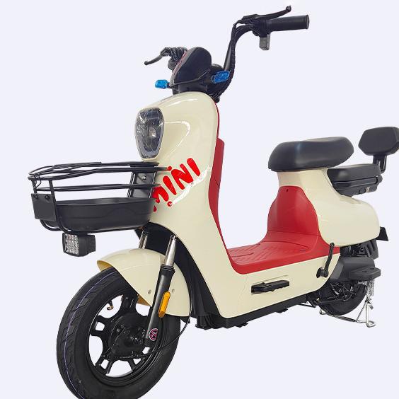 Compact Electric Bicycle Custom Commuter