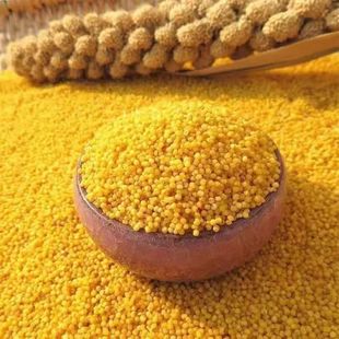 �½���ɽС���½�ֱ�l���״ּZ���|���������SС�״��l���l����