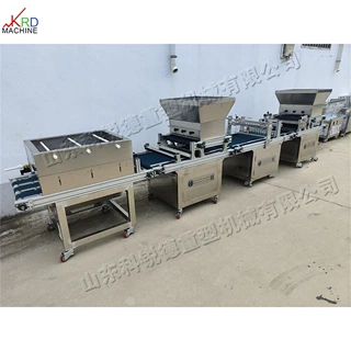Hole tray seedling machine 全自动穴盘育苗机 小型穴盘播种设备