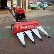 ����һ�w�C�Ԅ������ַ����������󶹷ŵ���C1.2��С�͸��C