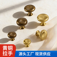 �p���S�~���T�����й��L�ο�����������ϼҾ��������T����