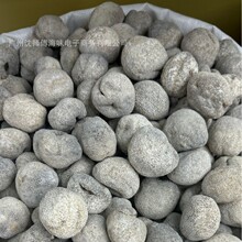 货源直供珍珠球参 乌圆球参 淡干球参海参干货 熟度好厚肉35头