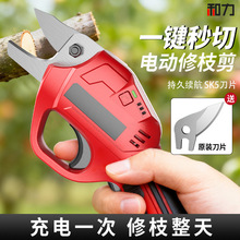 늄Ӽ������ʽ�����@�ֹ�����֦���늘�֦늼��Ӽ�֦����