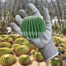 F؛NƤo̿pţƤ˺ѿĥ̈@ˇCе