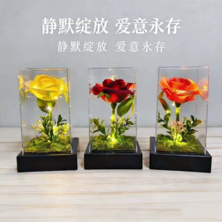 仿真玫瑰花LED灯永生花玻璃罩母亲情人节礼物摆件装饰氛围微景观