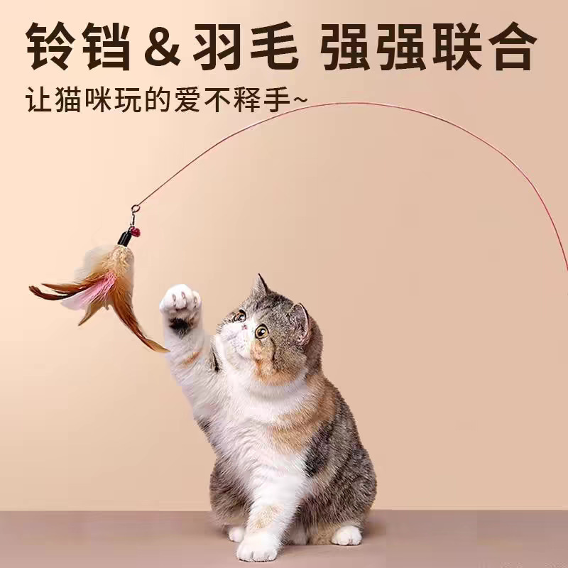 Cat Teaser Stick Pet Toy, Durable and Bite-Resistant, with Bell and Feathers, Cat Self-Entertainment Tool, Long Steel Wire Rod for Pets Cat Teaser Stick Pet Toy, Durable and Bite-Resistant, with Bell and Feathers, Cat Self-Entertainment Tool, Long Steel Wire Rod for Pets