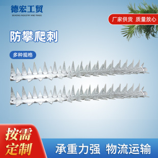 �������̏S�����l�e�����݇������P䓷�����ᔷ��I�̇������o