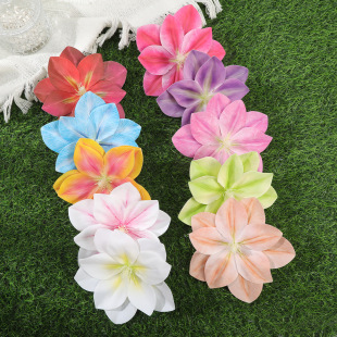 �W��������Ʒ�羳�������|14cm������߅���l�A��ɫ�ĺ�߅����l�