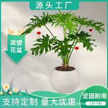 �A������L�ܻ����̖���s�L���҃ȾGֲ�Nֲ�����������Թ��S���l