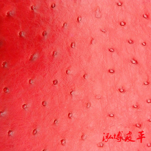 �r�B�y�SţƤ���ִ����Ƥ����ƤƤ���ϡ�С�~���l��