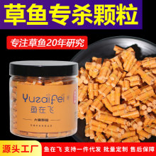 ~wƤw~wDϴyƿbhwOD~D