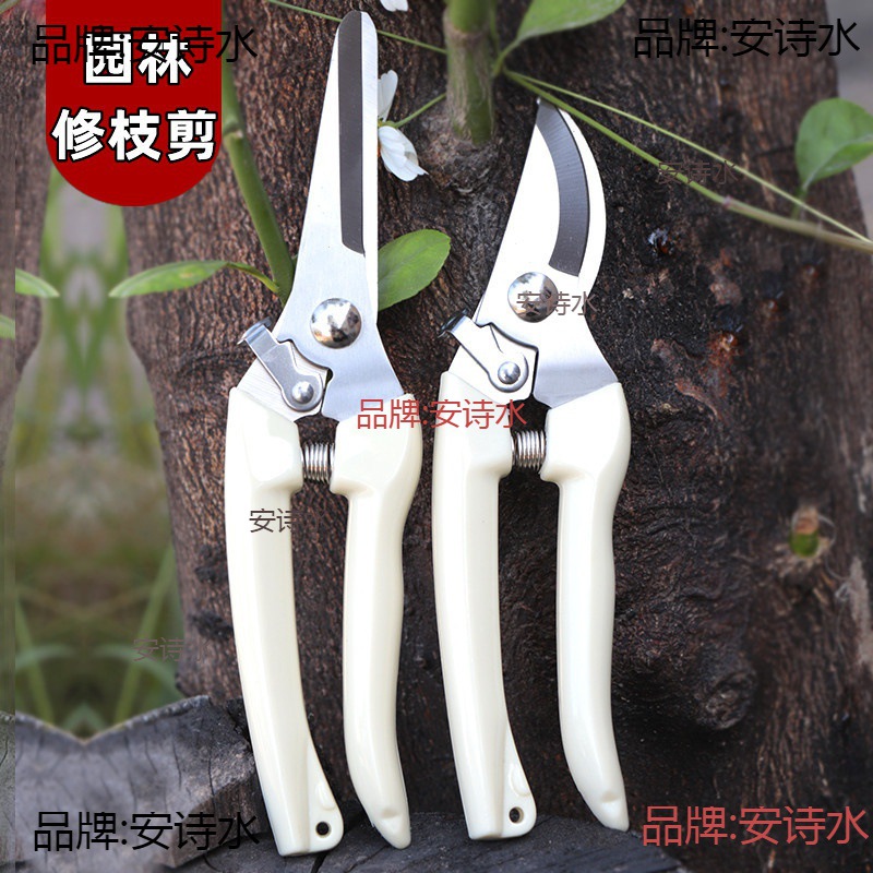 修枝剪葡萄树枝剪钳苹果树剪子园林绿化机械工具花剪刀种花果木大