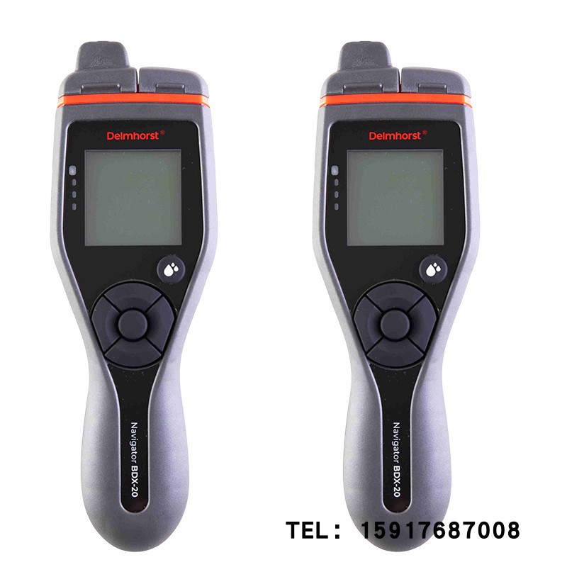 美国DELMHORST木材水份仪BDX-20 BDX-30测试仪湿度计适合木工行业